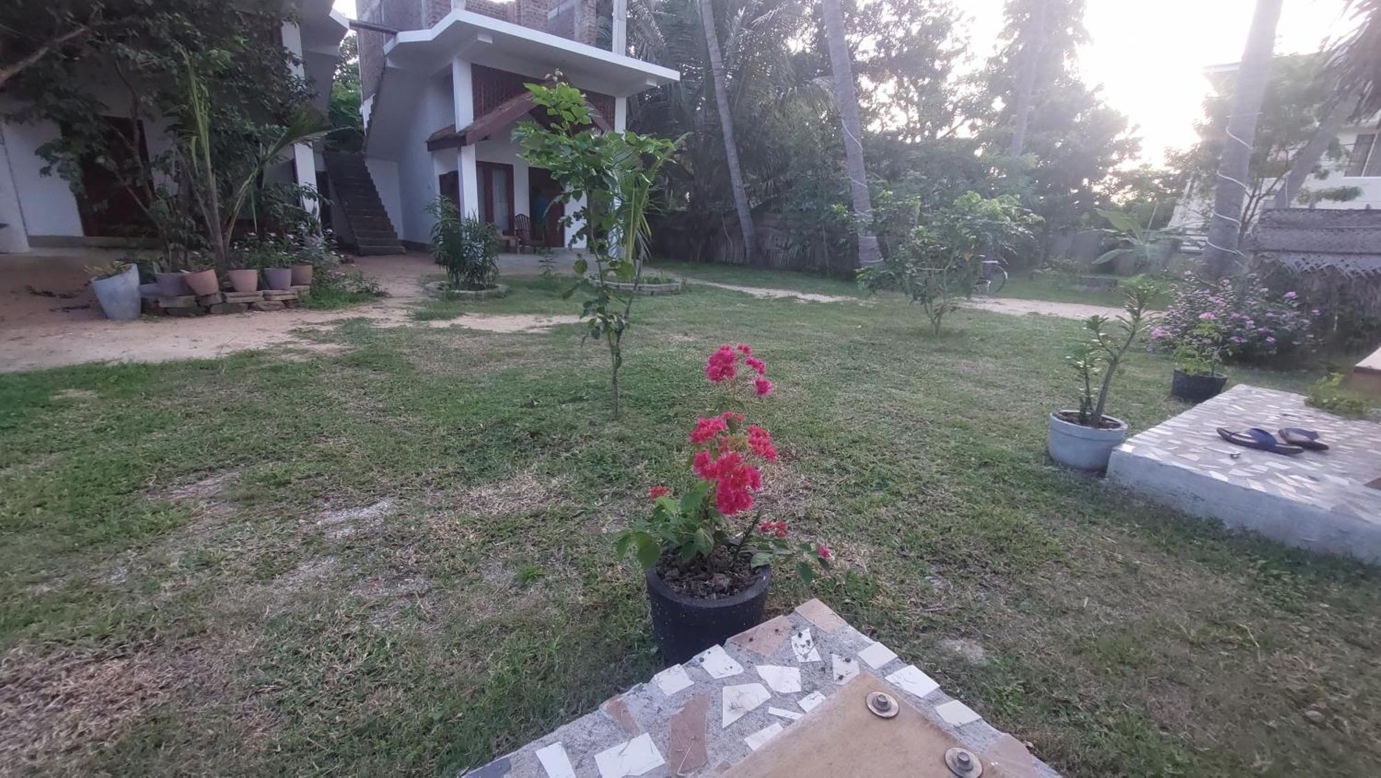 The Dream Inn Guesthouse Passikudah Batticaloa Εξωτερικό φωτογραφία