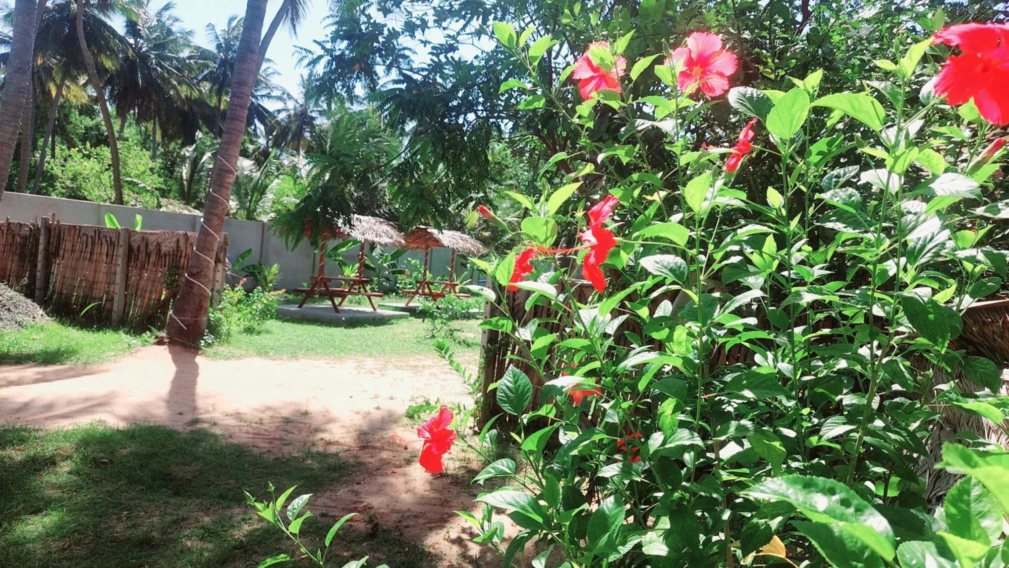 The Dream Inn Guesthouse Passikudah Batticaloa Εξωτερικό φωτογραφία