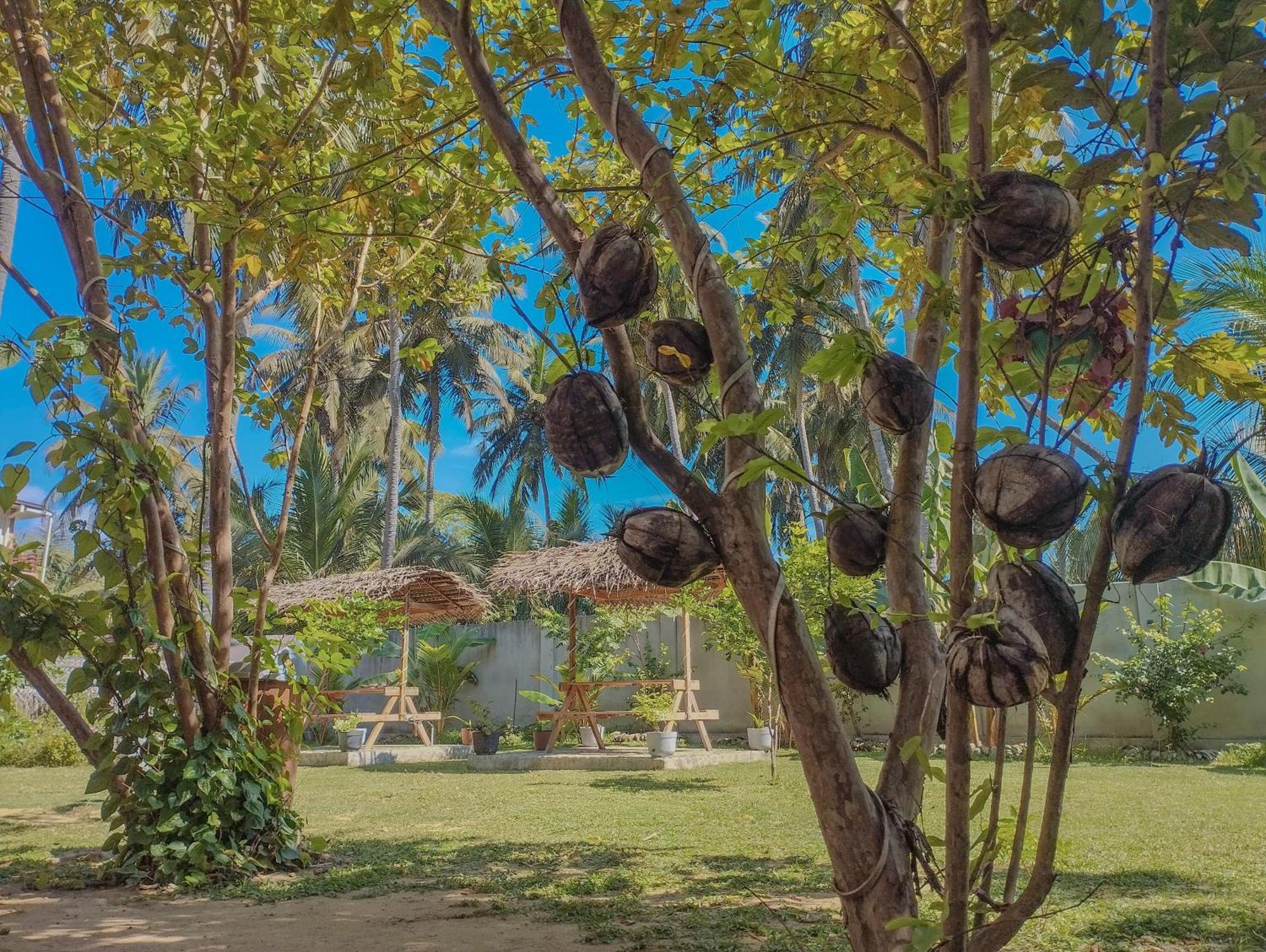 The Dream Inn Guesthouse Passikudah Batticaloa Εξωτερικό φωτογραφία